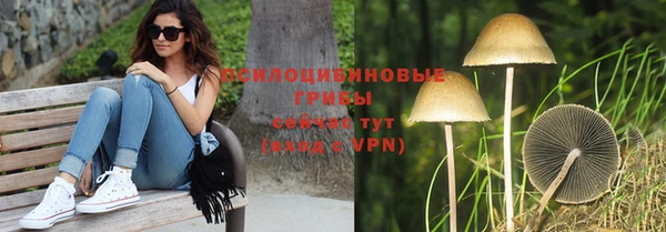 mdpv Алзамай