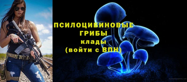 ECSTASY Алексеевка