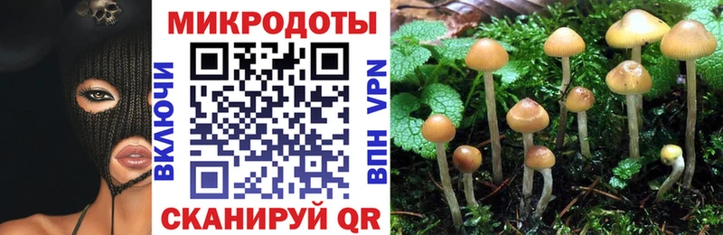 Галлюциногенные грибы GOLDEN TEACHER  Березники 